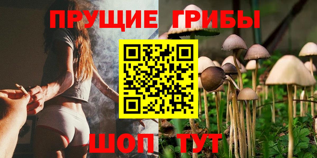 Псилоцибиновые грибы мицелий Жигулёвск
