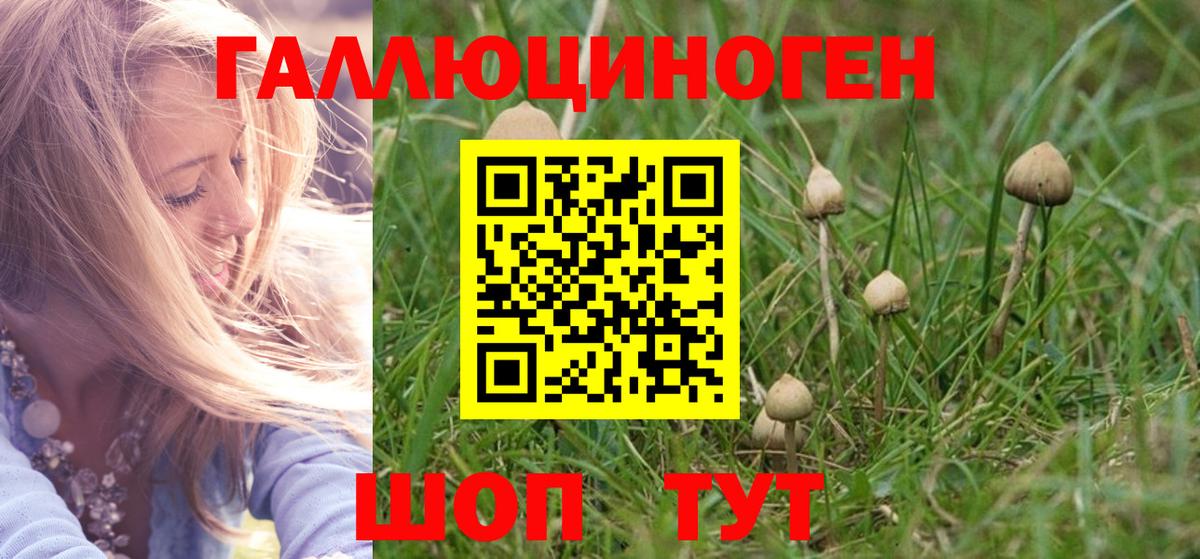 Галлюциногенные грибы ЛСД  купить наркотик  Жигулёвск  Псилоцибиновые грибы Psilocybine cubensis  Вход с VPN 
